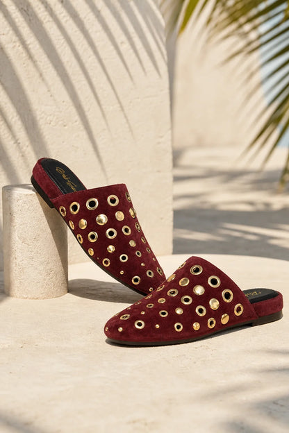 Sevilla Oro Stud Mule