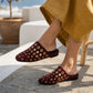 Sevilla Oro Stud Mule